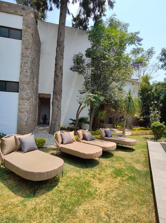 Terraza y áreas verdes del hotel